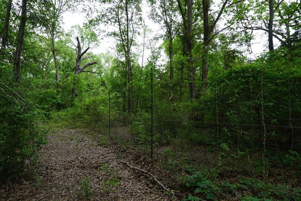 22.5 acres in HENDERSON County - photo 26