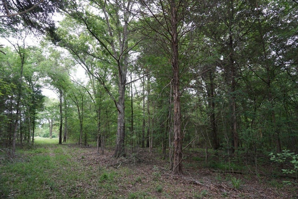 22.5 acres in HENDERSON County - photo 29