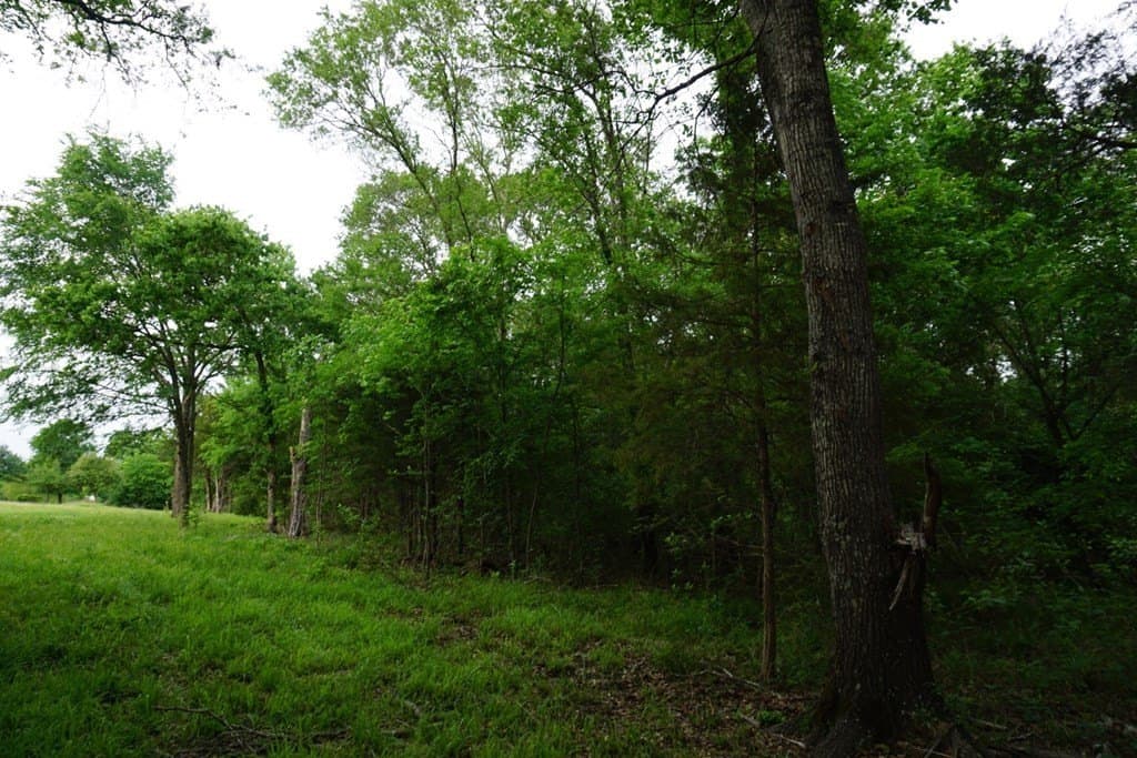 22.5 acres in HENDERSON County - photo 28