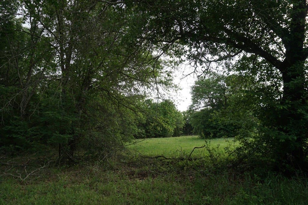22.5 acres in HENDERSON County - photo 18