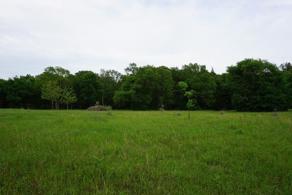 22.5 acres in HENDERSON County - photo 6