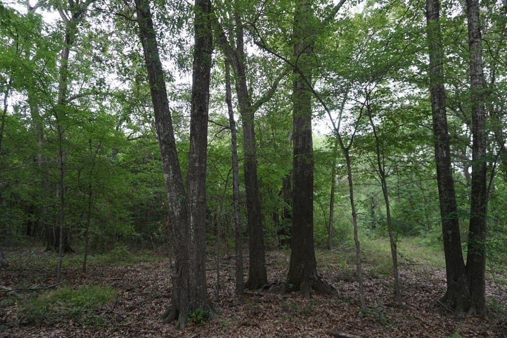 22.5 acres in HENDERSON County - photo 27