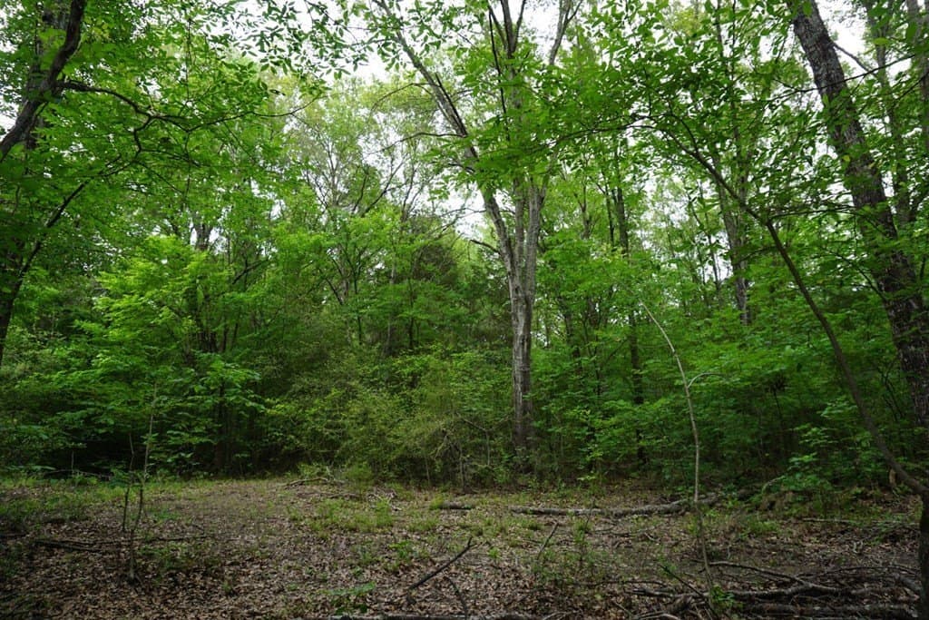 22.5 acres in HENDERSON County - photo 21