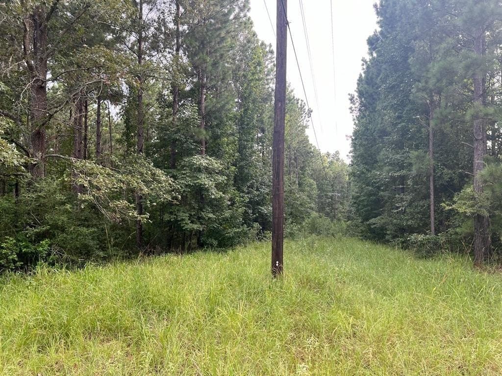 50 acres in ANDERSON County - photo 10