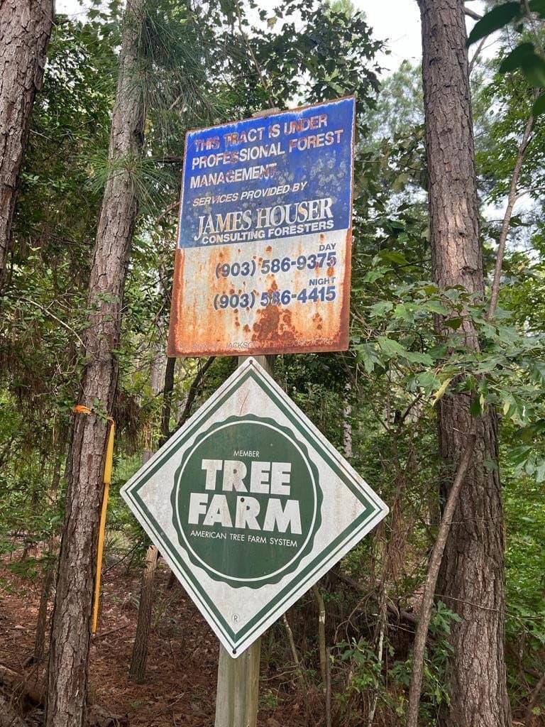 50 acres in ANDERSON County - photo 11