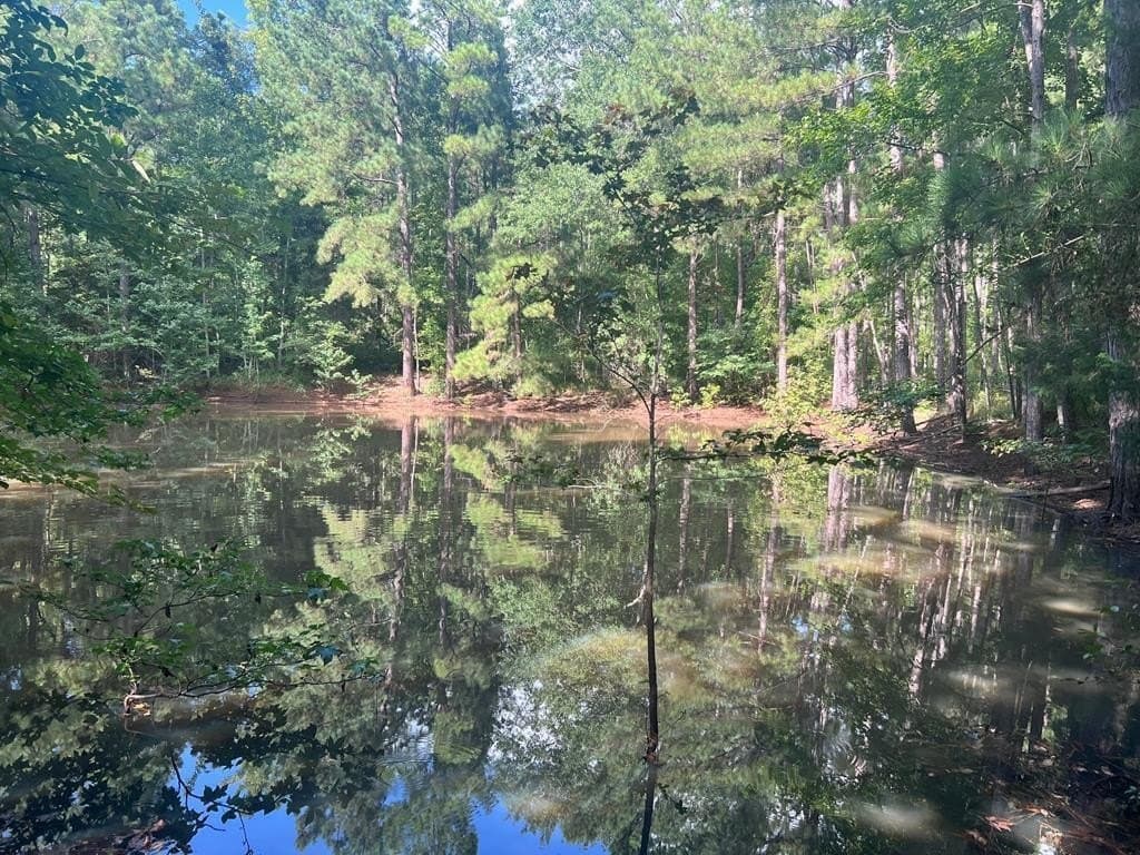 50 acres in ANDERSON County - photo 12