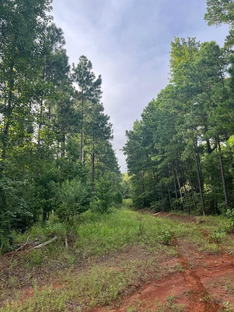 50 acres in ANDERSON County - photo 3