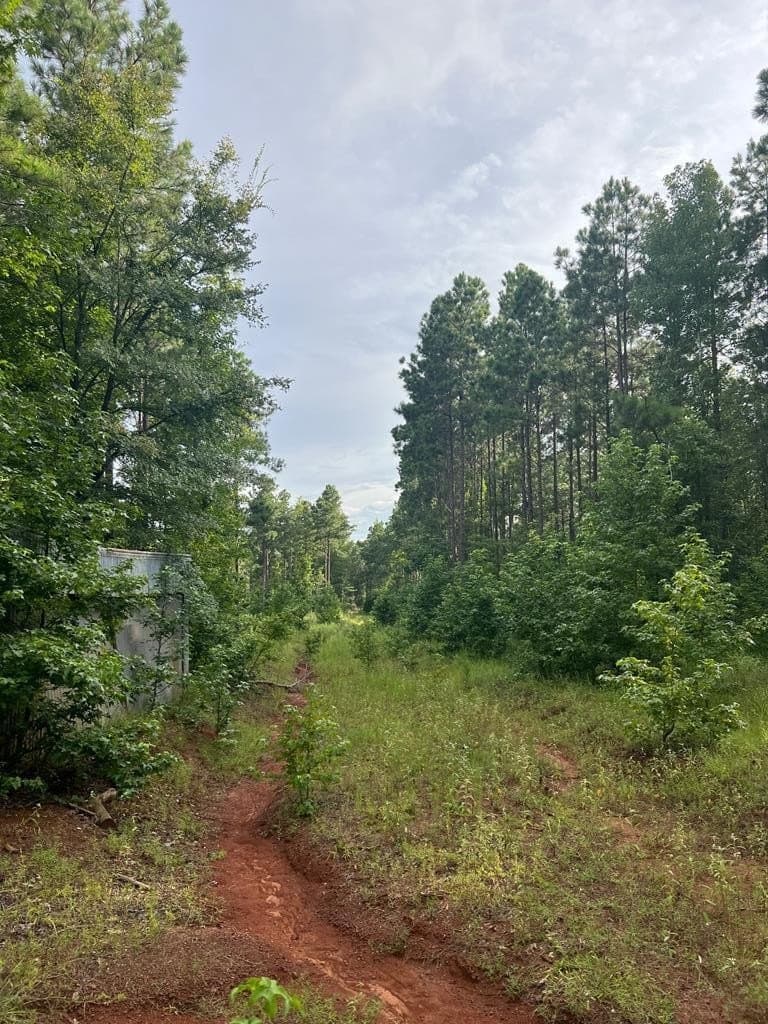 50 acres in ANDERSON County - photo 4