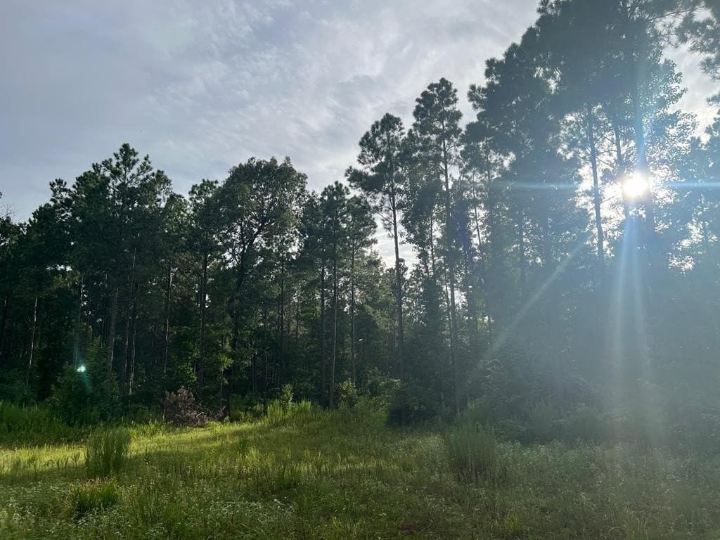 50 acres in ANDERSON County - photo 7