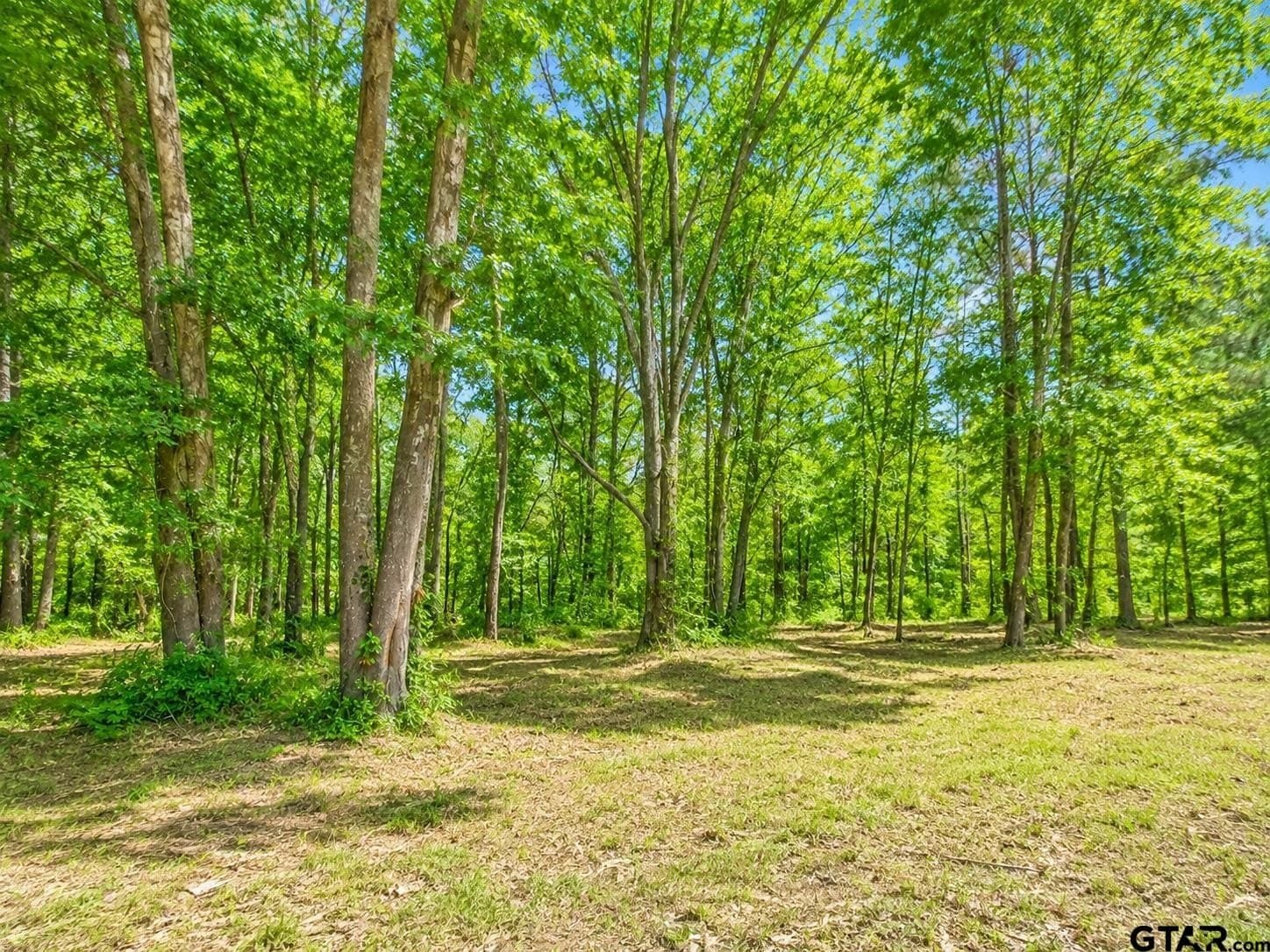 0.96 acres in Wood County - photo 4