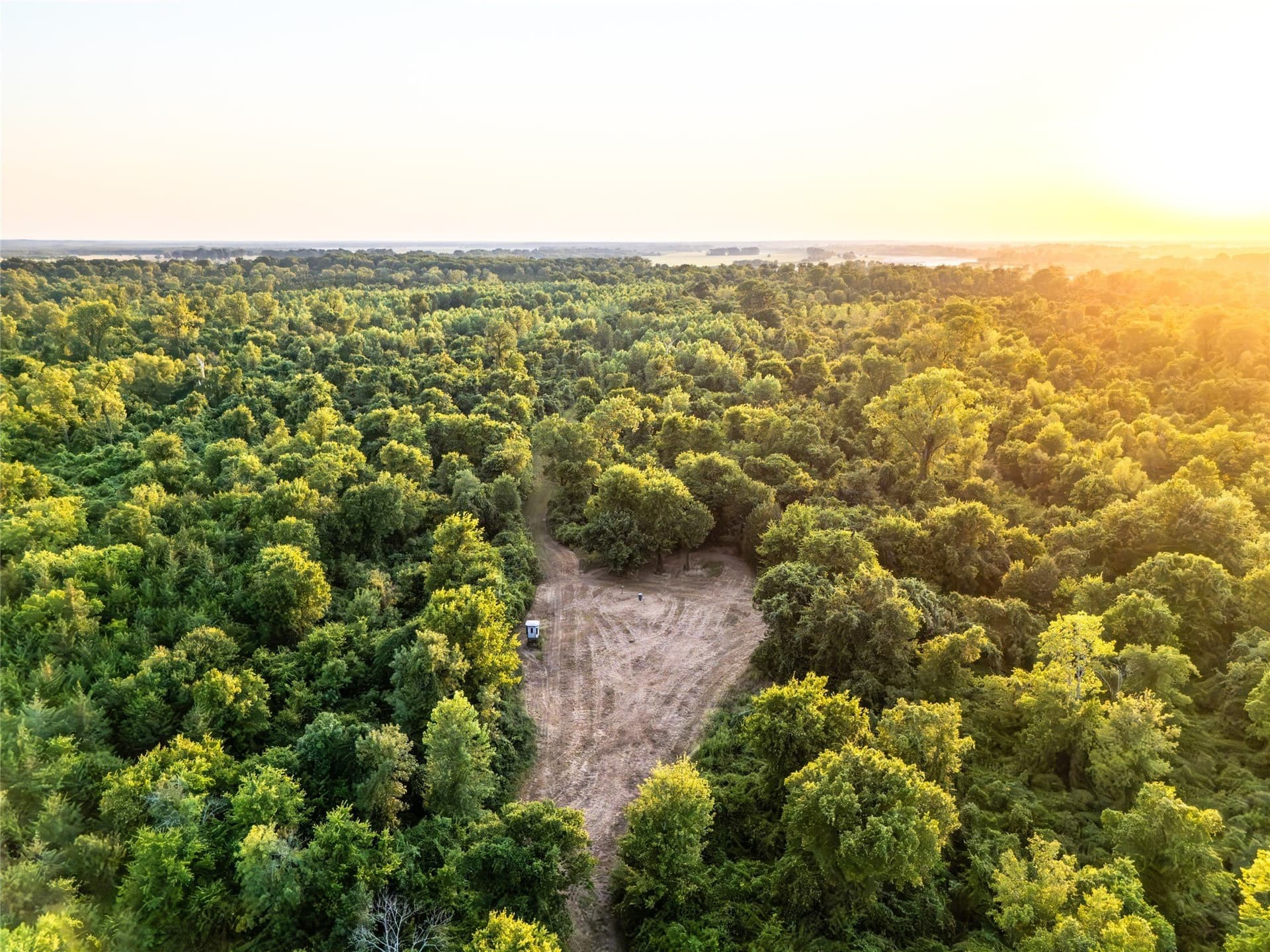 378.3 acres in Lamar County - photo 11