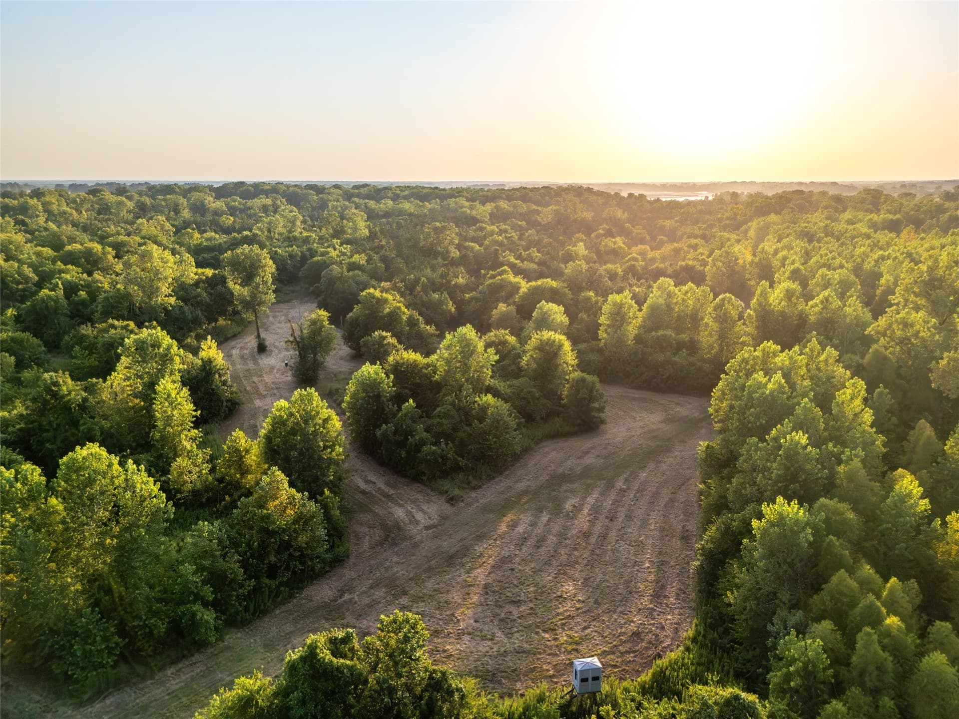 378.3 acres in Lamar County - photo 9