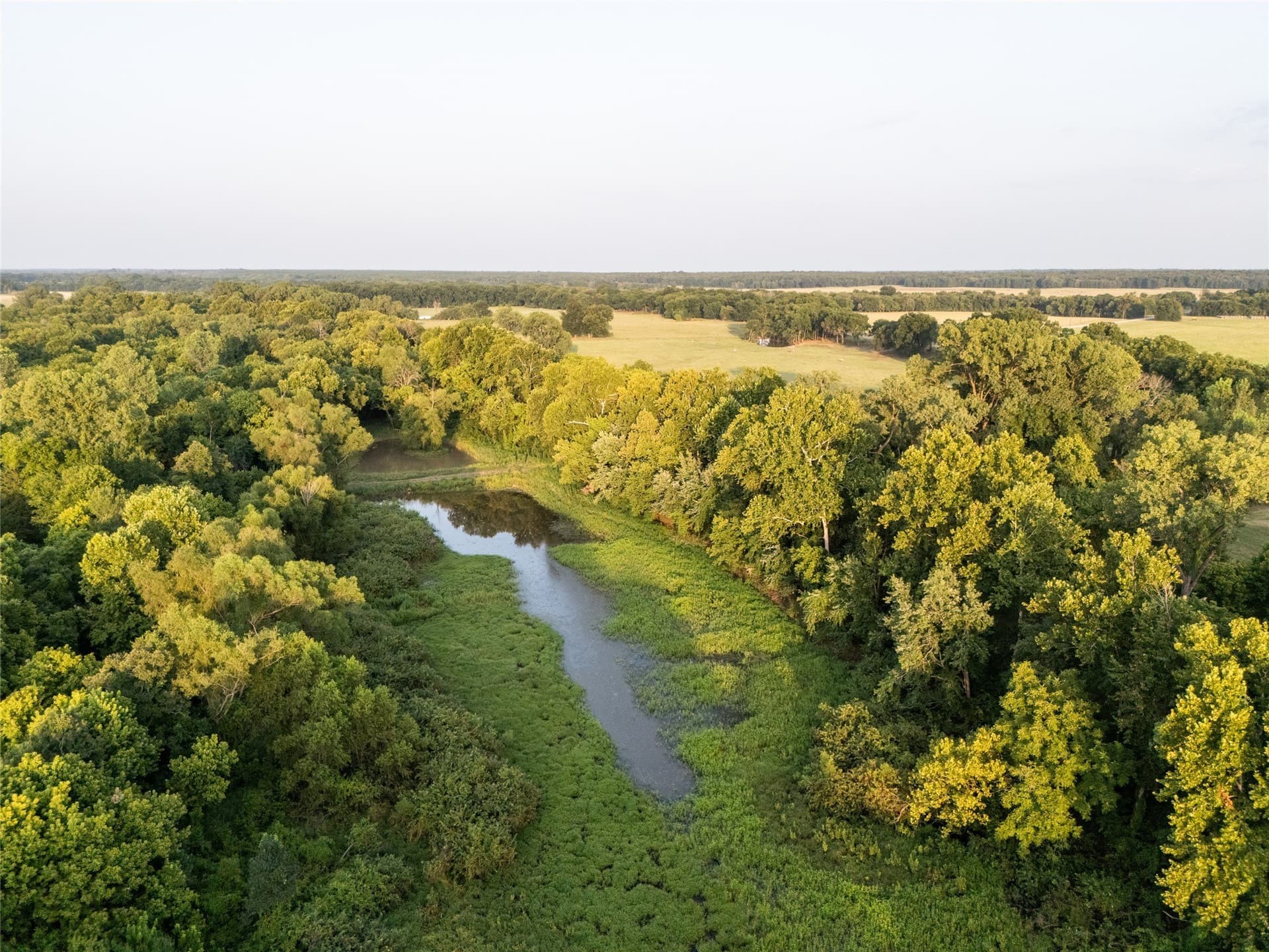 378.3 acres in Lamar County - photo 30