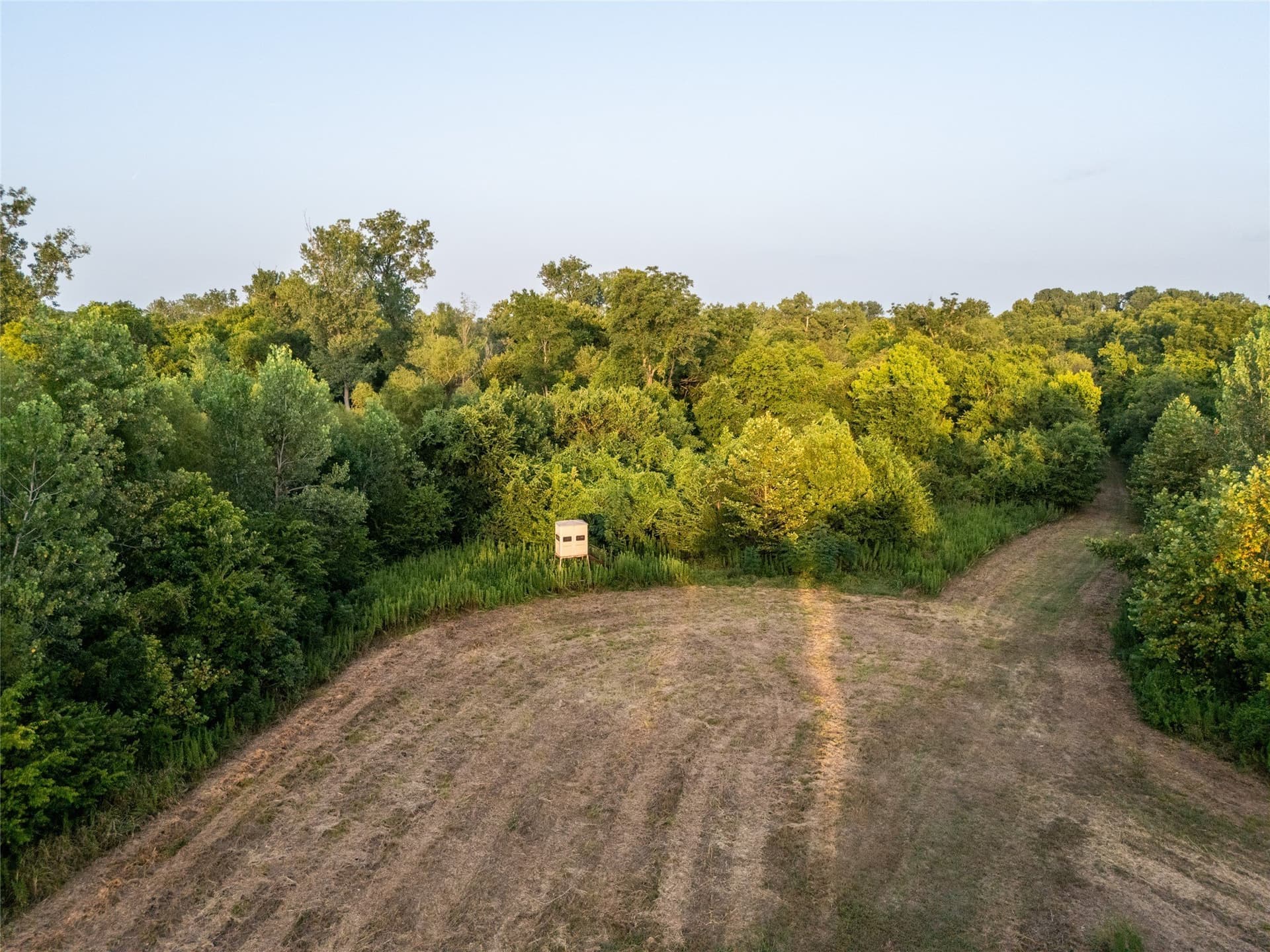 378.3 acres in Lamar County - photo 16