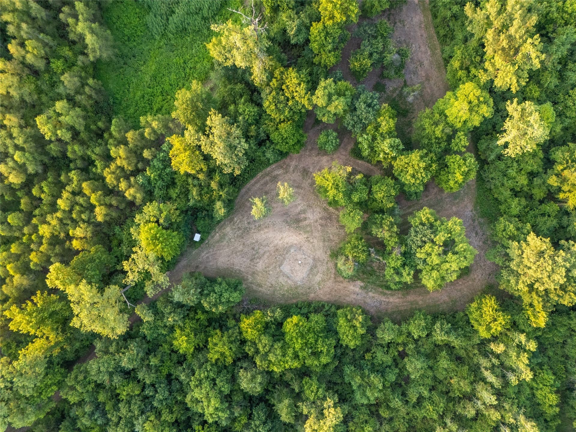378.3 acres in Lamar County - photo 13