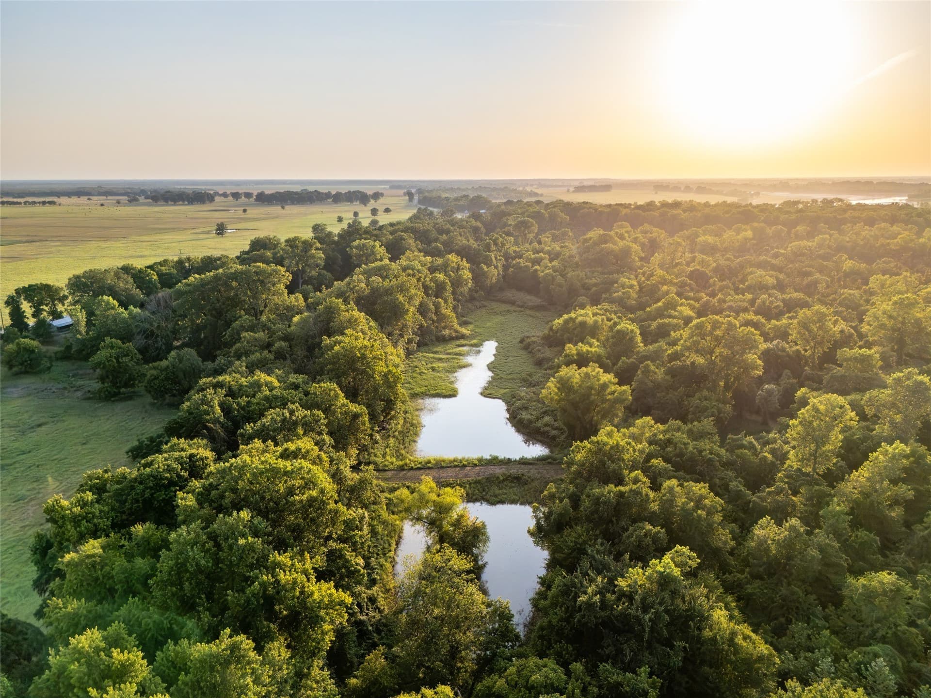 378.3 acres in Lamar County - photo 8