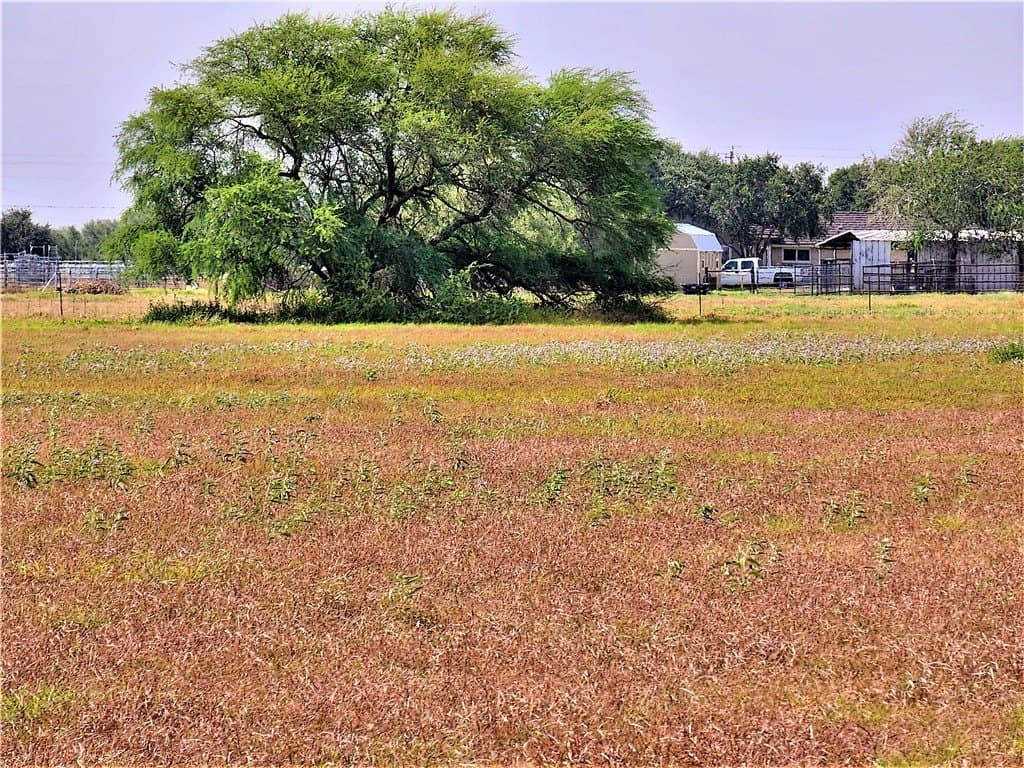 10 acres in San Patricio County - photo 5