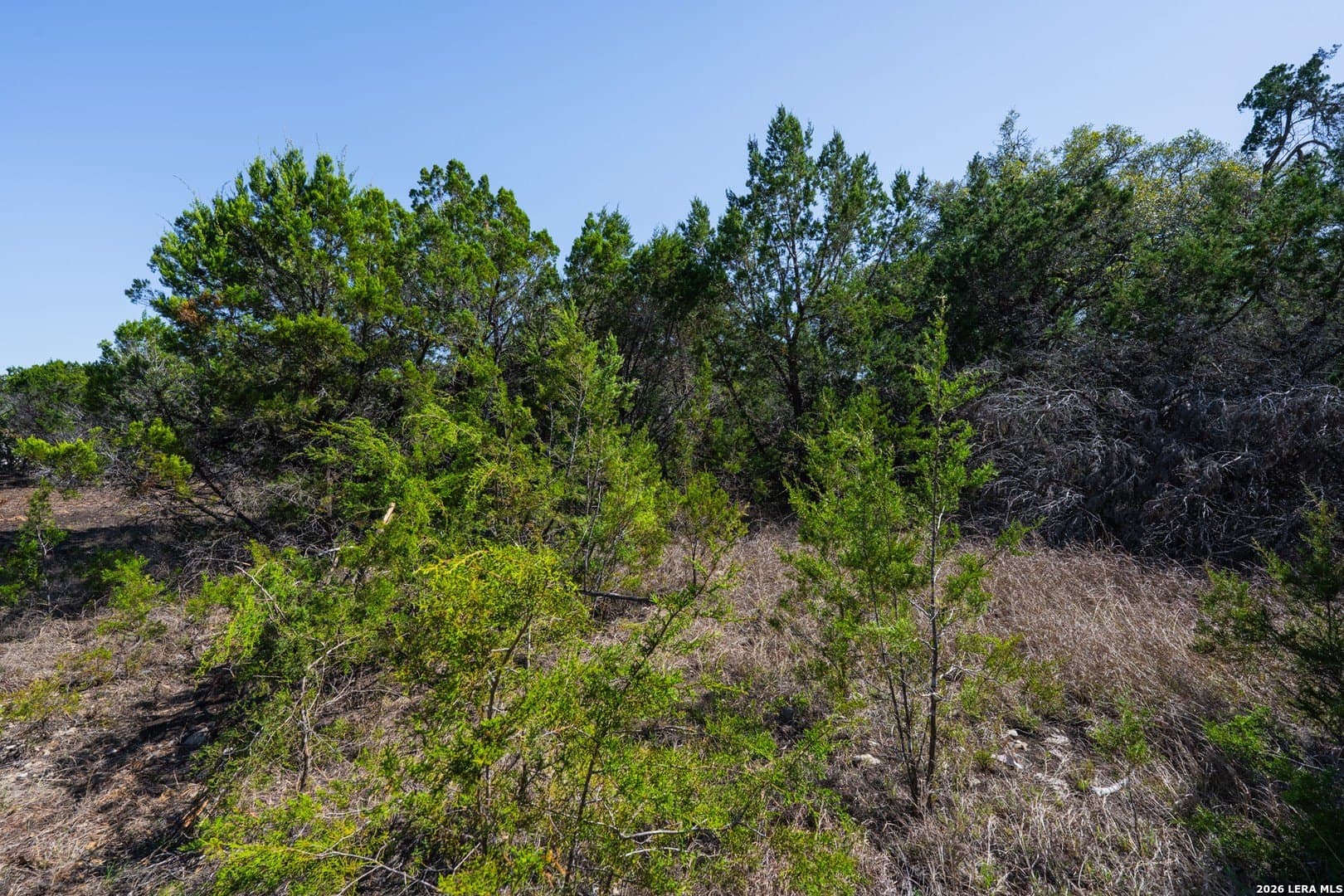1.5 acres in Bexar County featured view