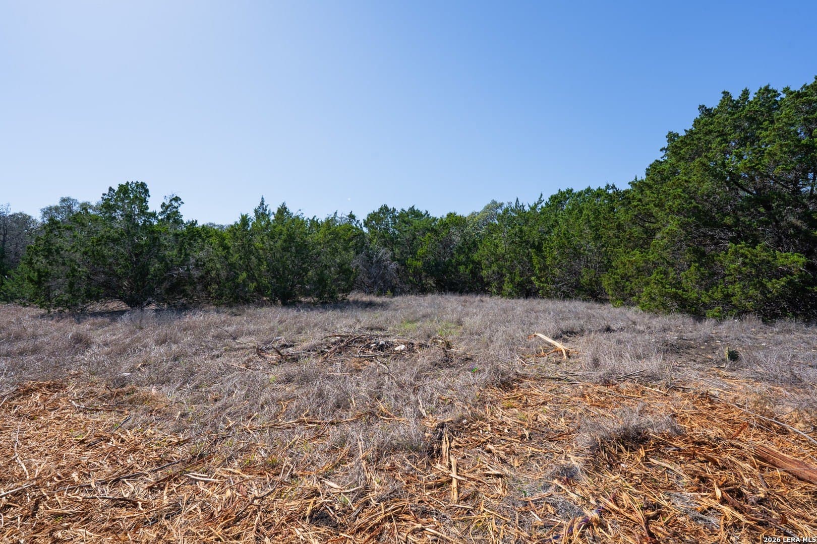 1.5 acres in Bexar County - photo 10