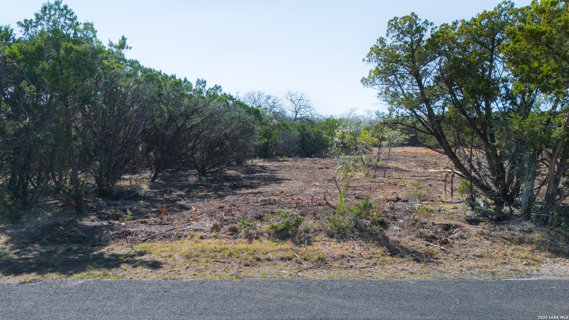 1.5 acres in Bexar County gallery image 3
