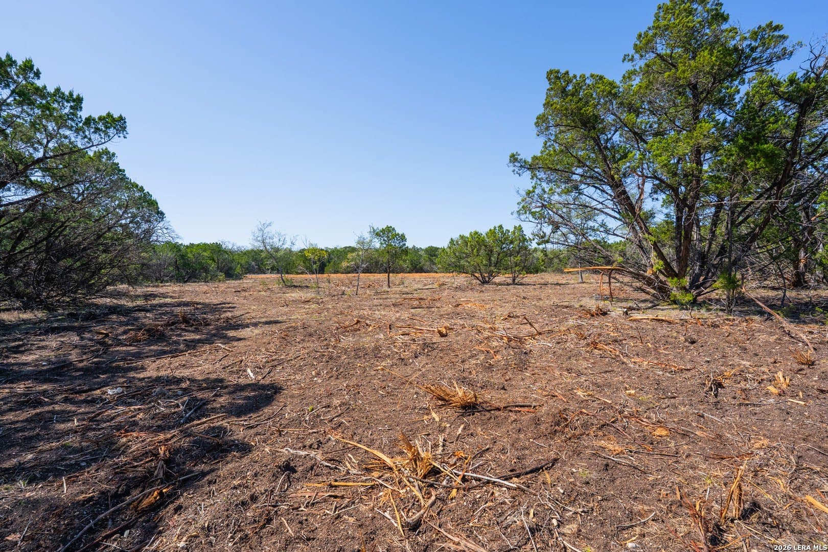 1.5 acres in Bexar County - photo 17
