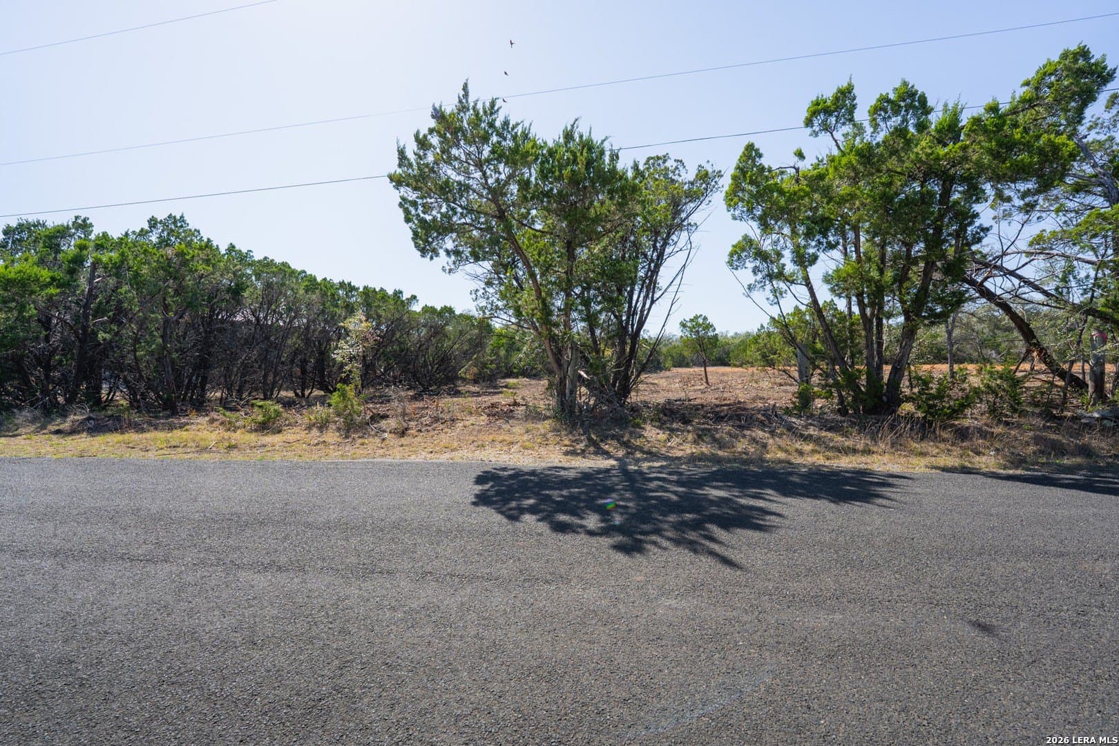 1.5 acres in Bexar County - photo 20