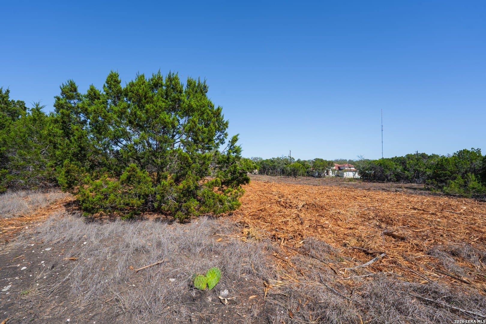 1.5 acres in Bexar County - photo 7