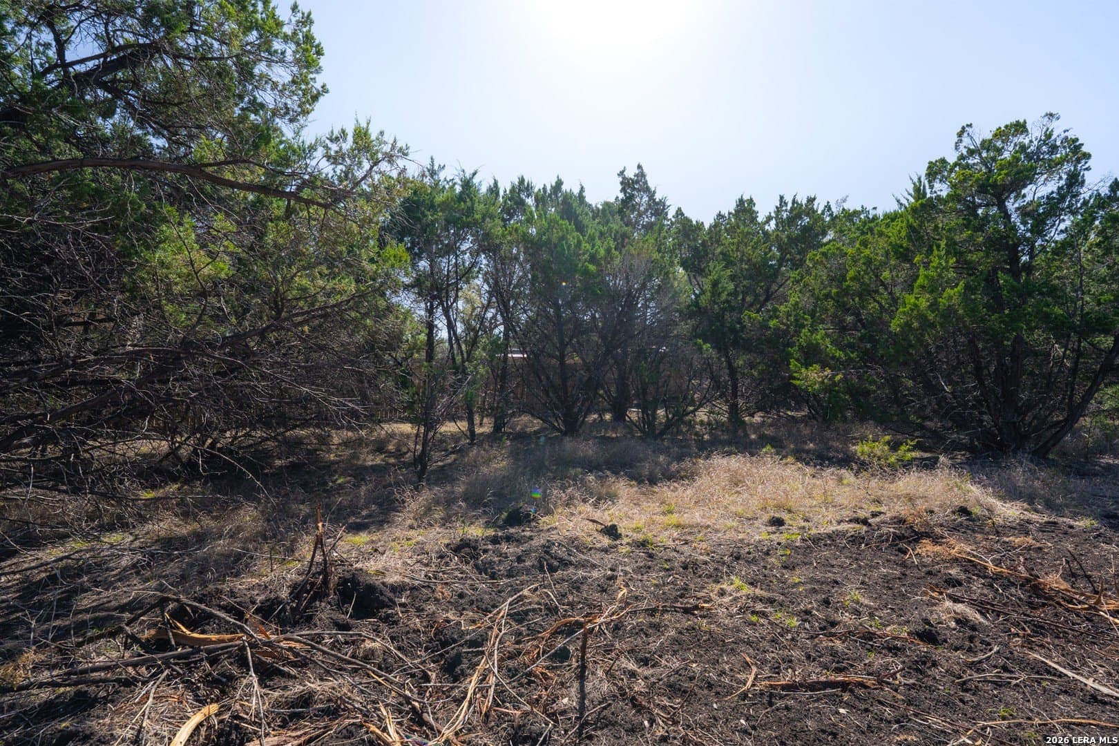 1.5 acres in Bexar County - photo 6