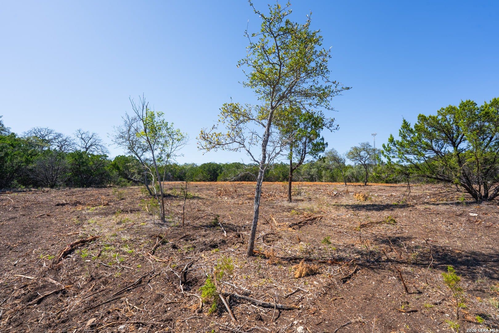 1.5 acres in Bexar County - photo 13