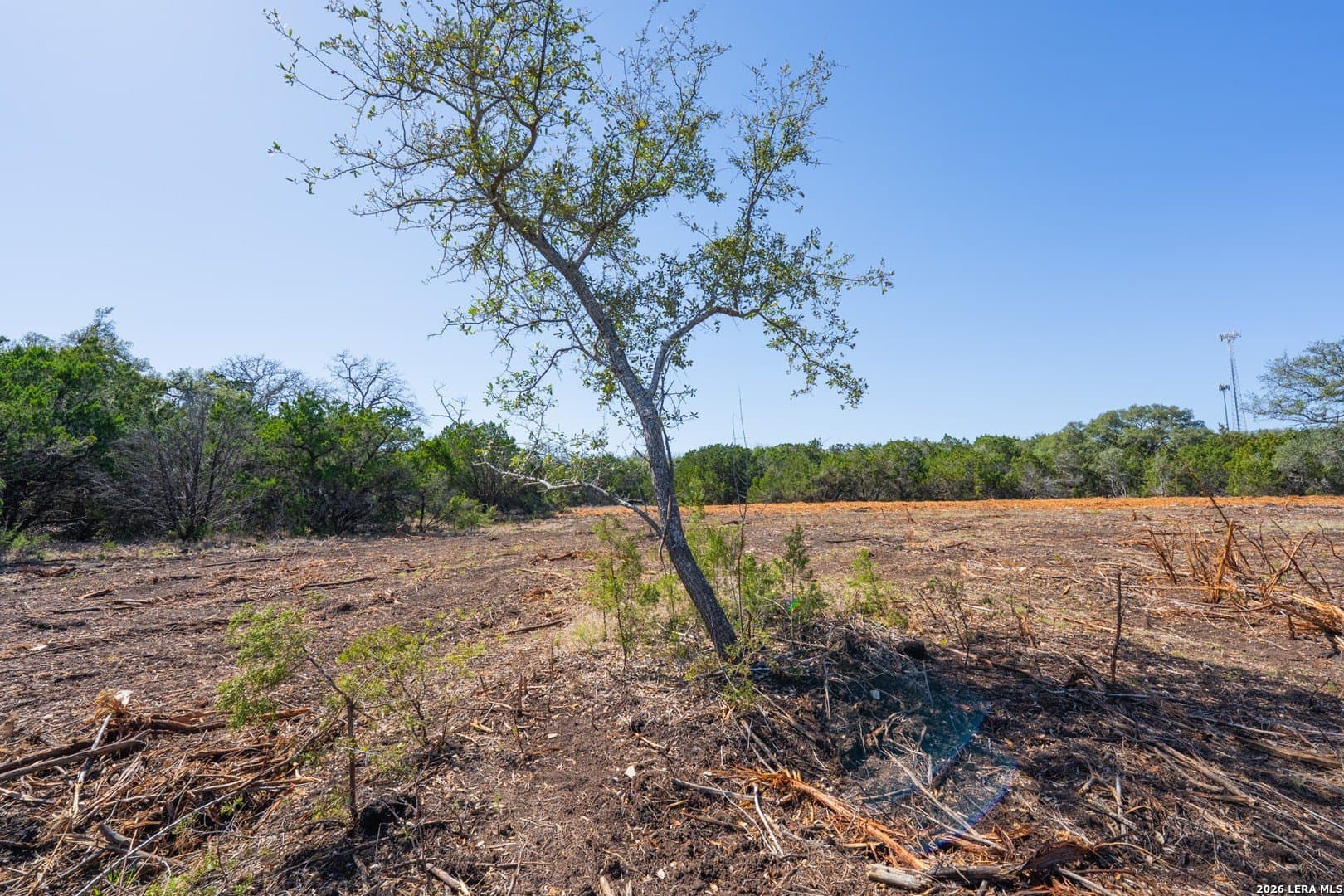 1.5 acres in Bexar County - photo 16
