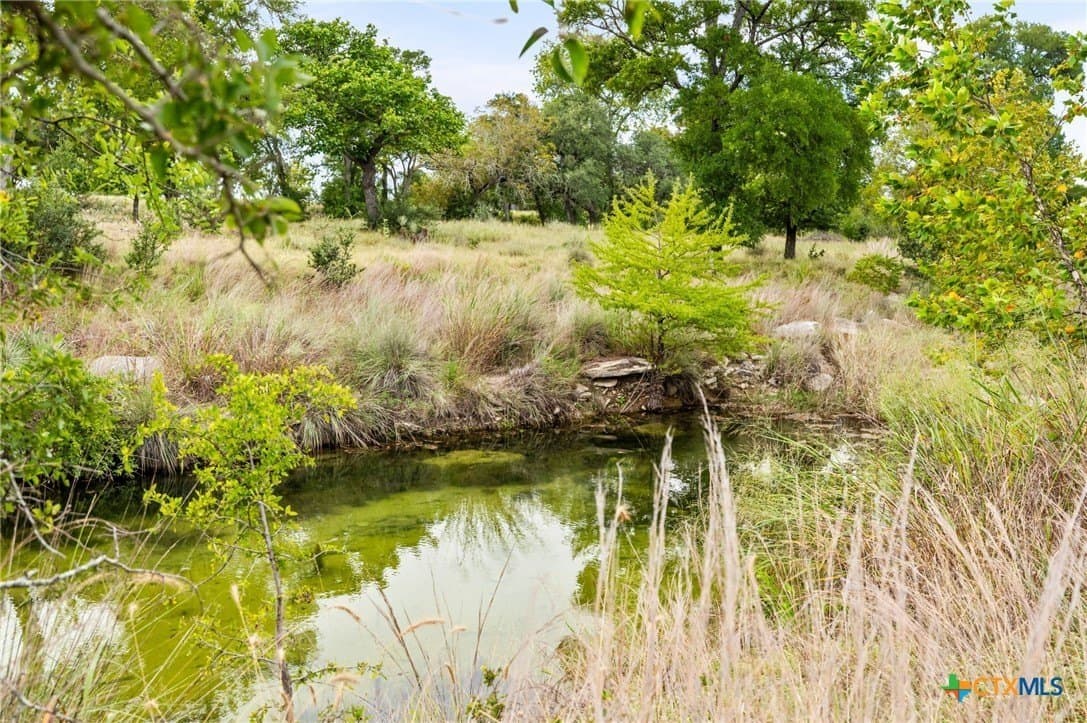 10.93 acres in Gillespie County - photo 39