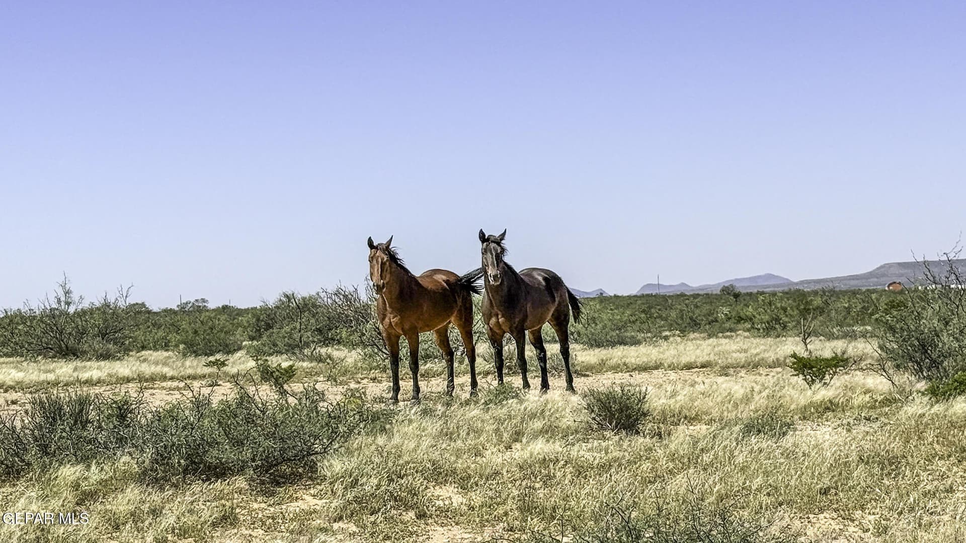 20 acres in Hudspeth County - photo 25