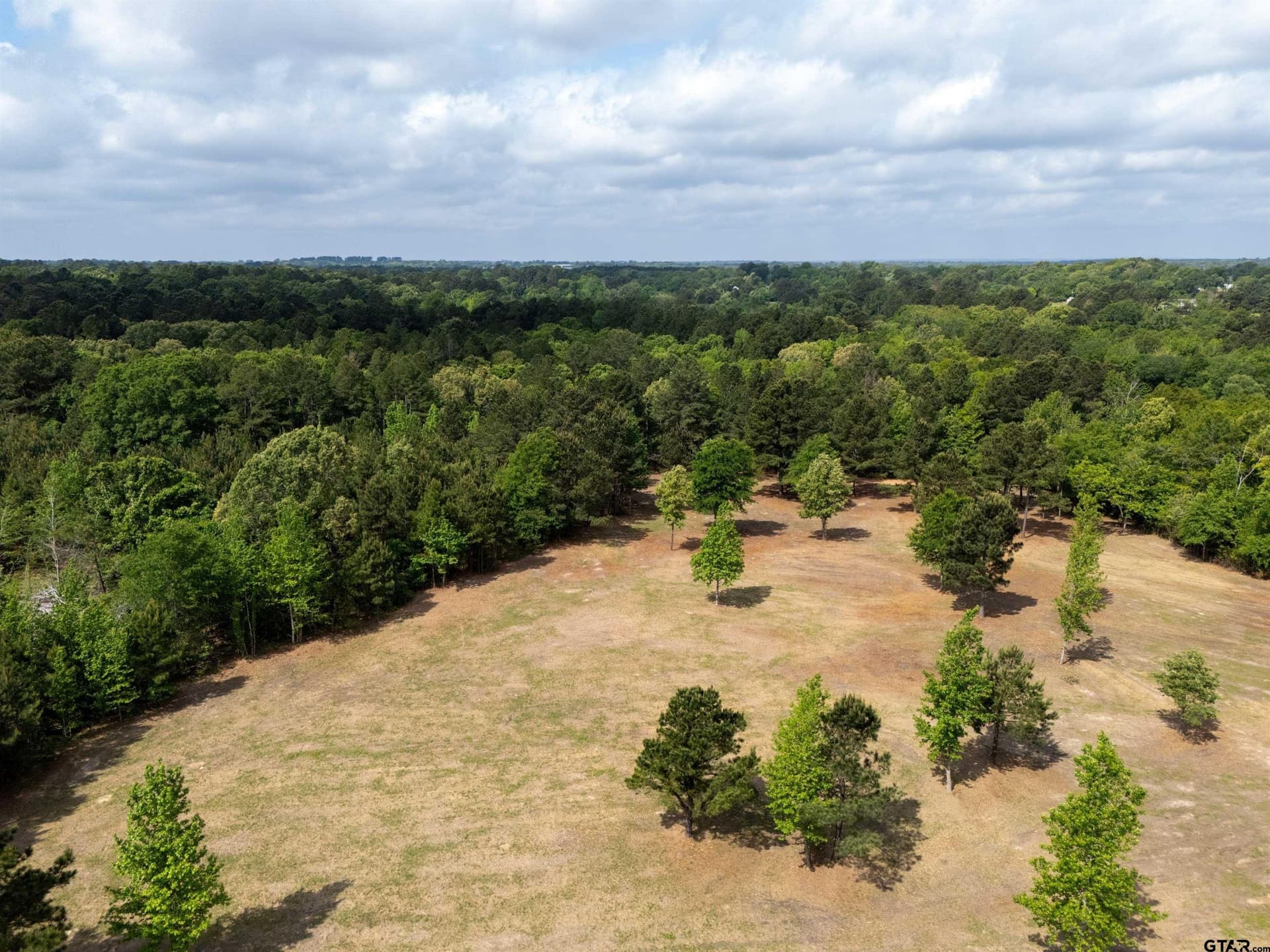 53.99 acres in Smith County featured view