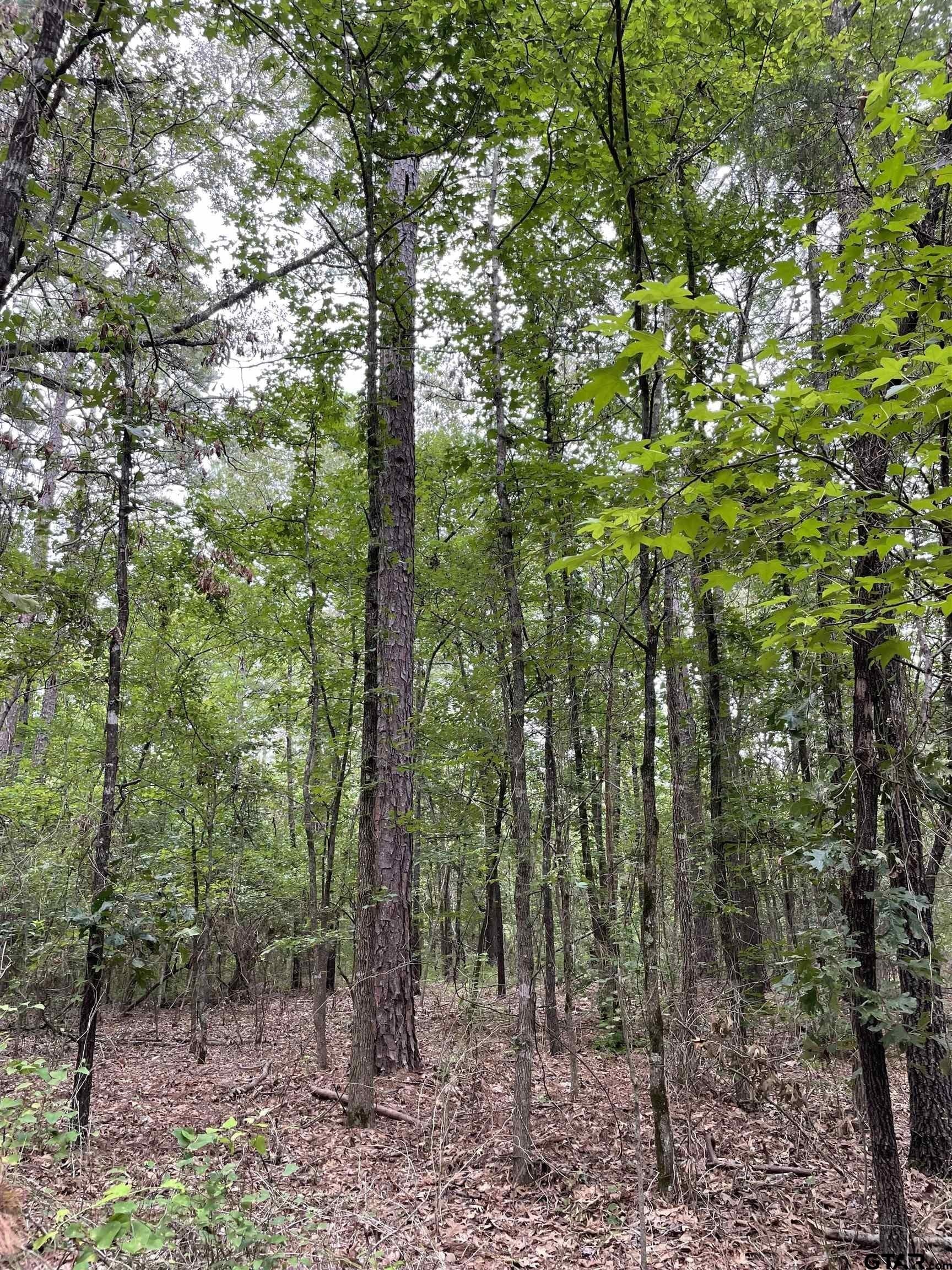 9.91 acres in Wood County - photo 3