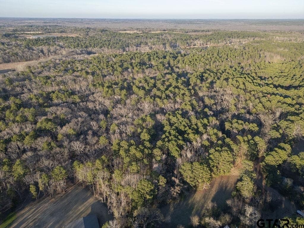 9.91 acres in Wood County - photo 12