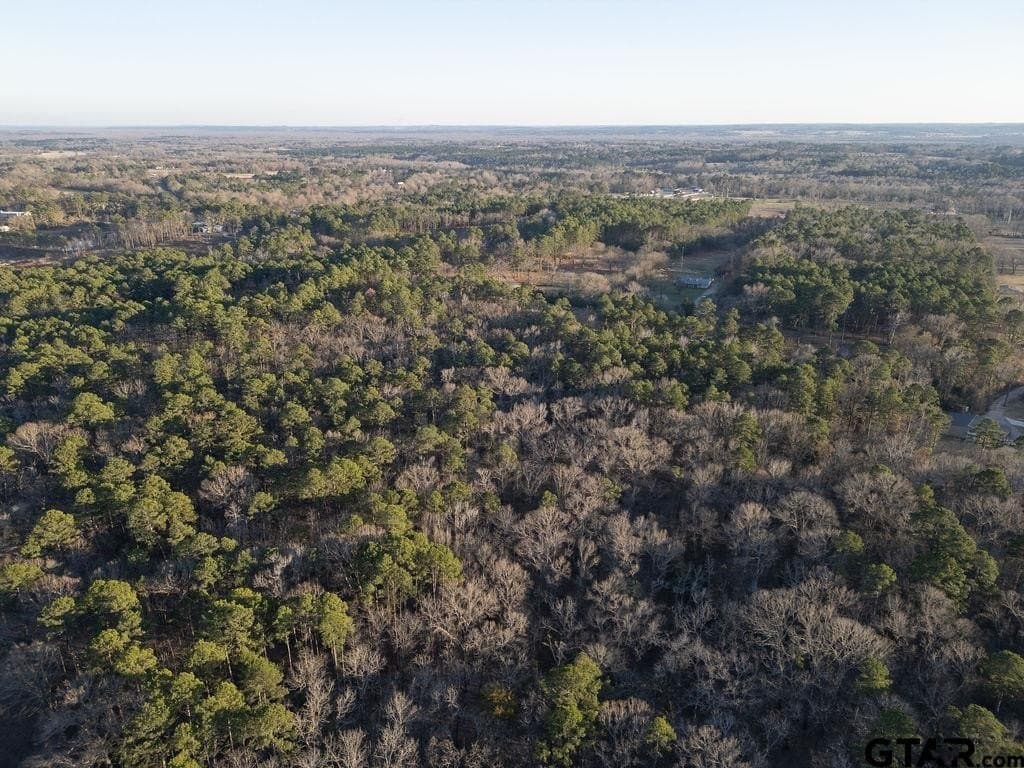 9.91 acres in Wood County - photo 15