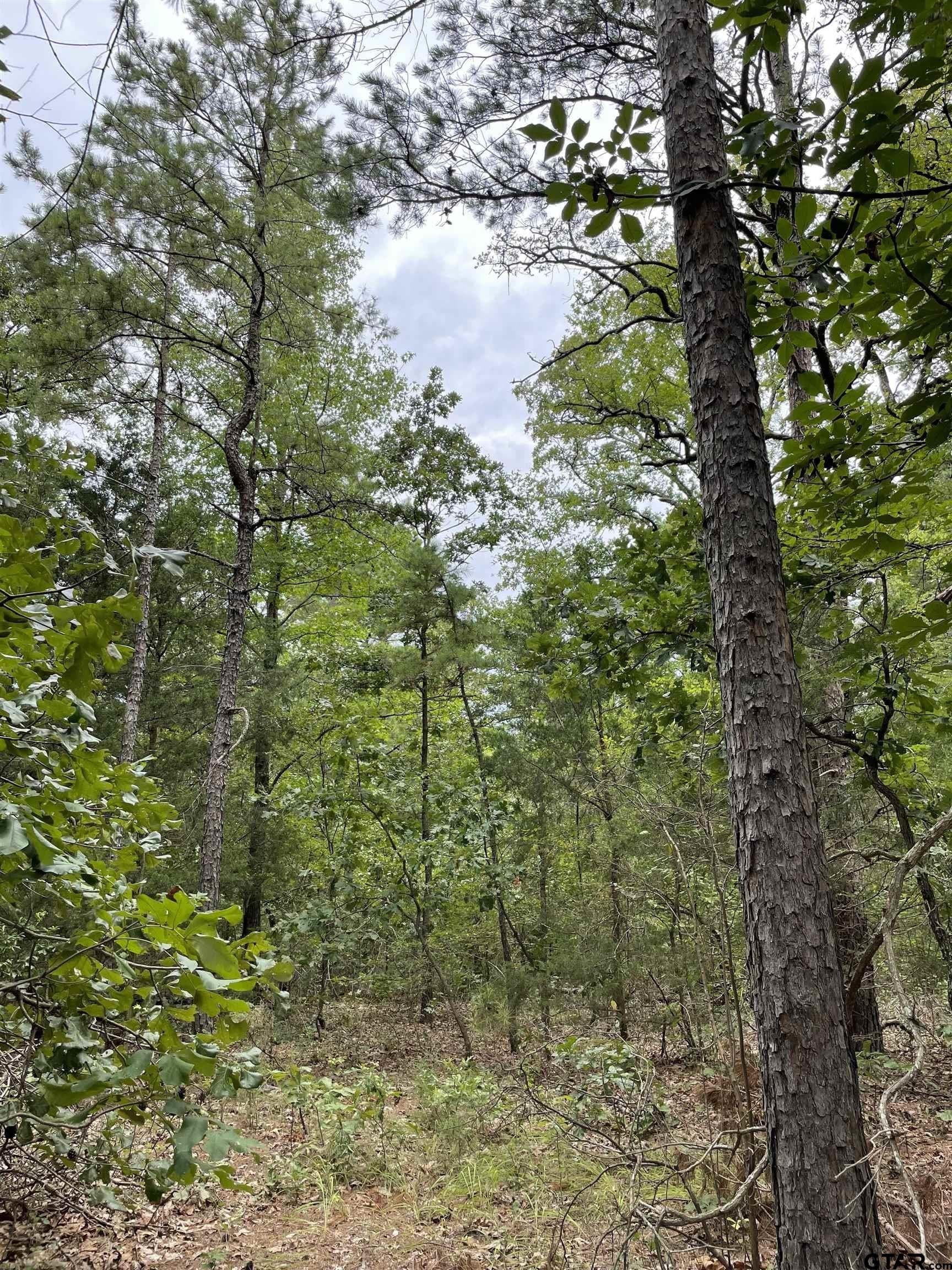 9.91 acres in Wood County - photo 6