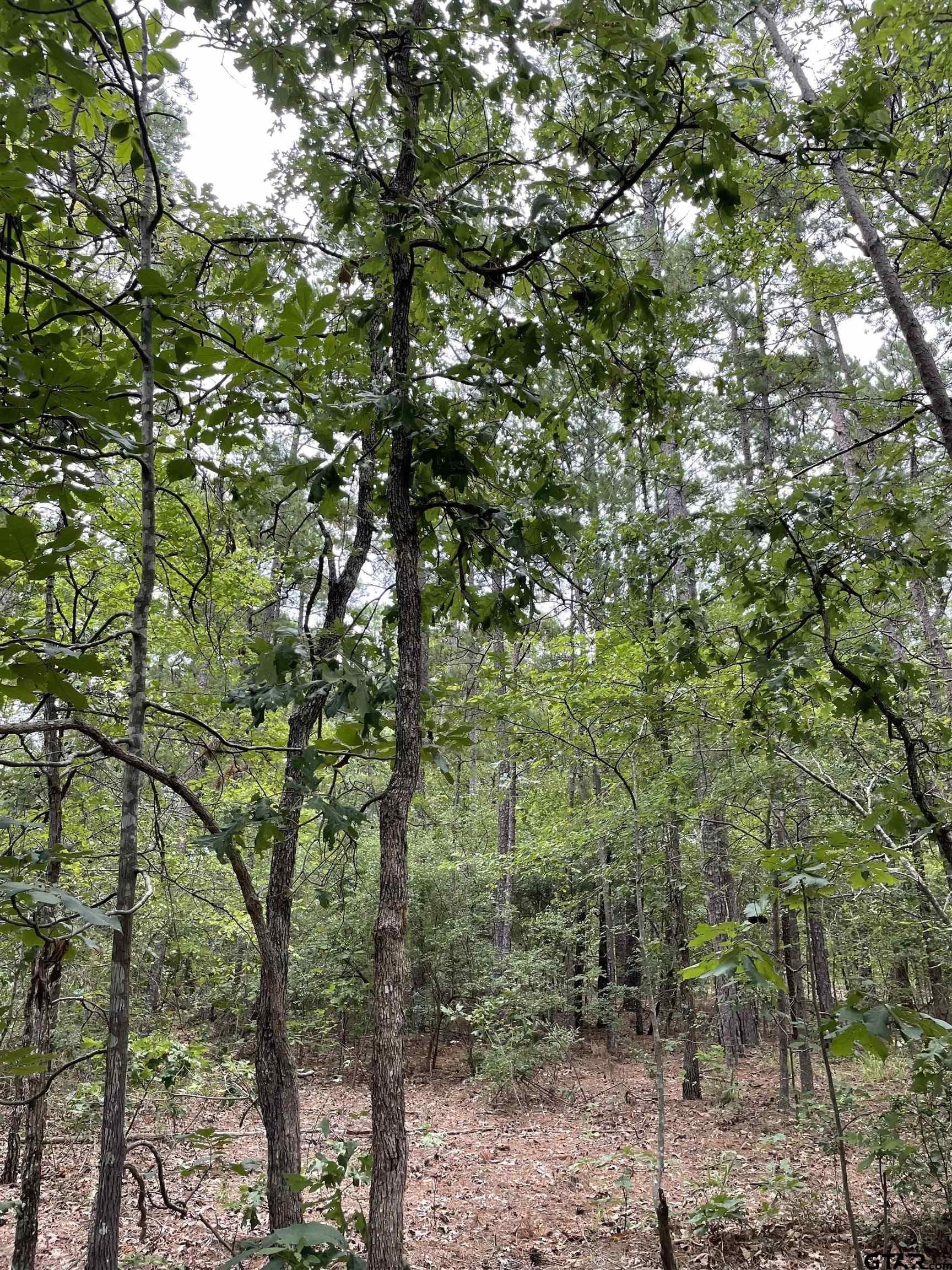 9.91 acres in Wood County - photo 5