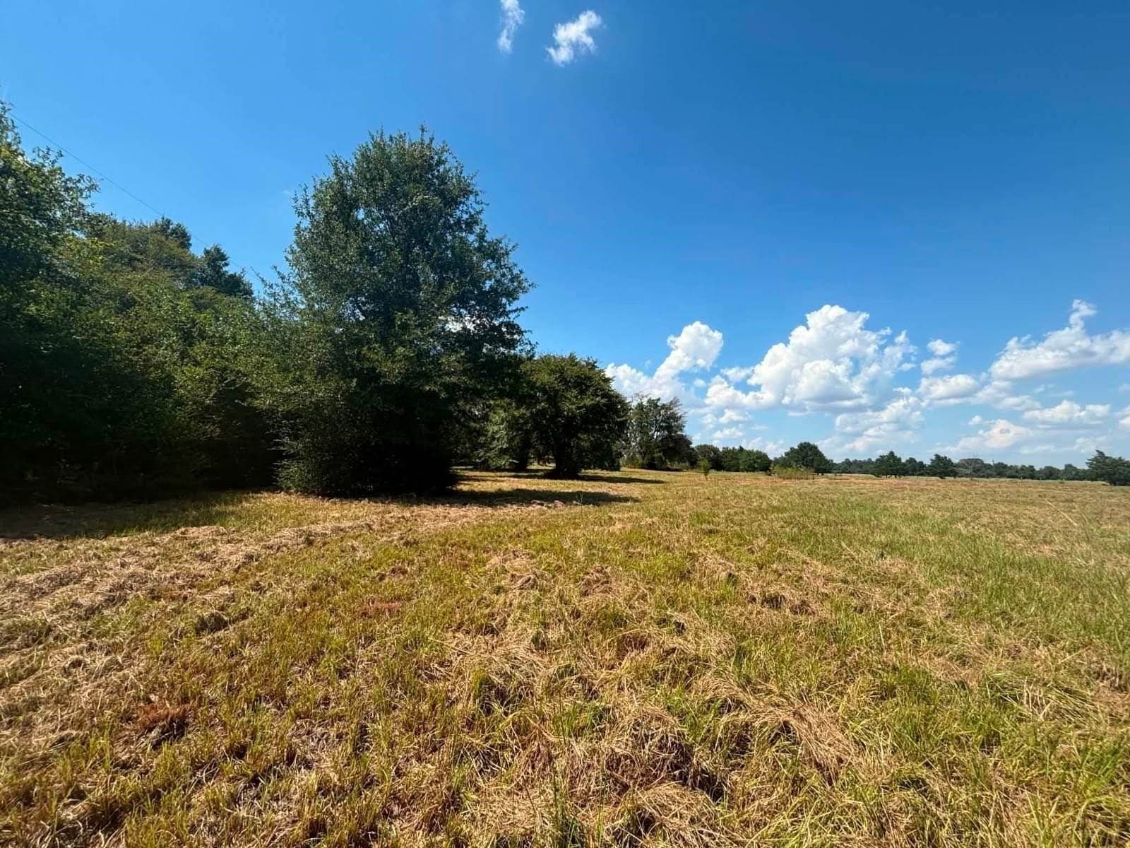 3 acres in Limestone County - photo 10