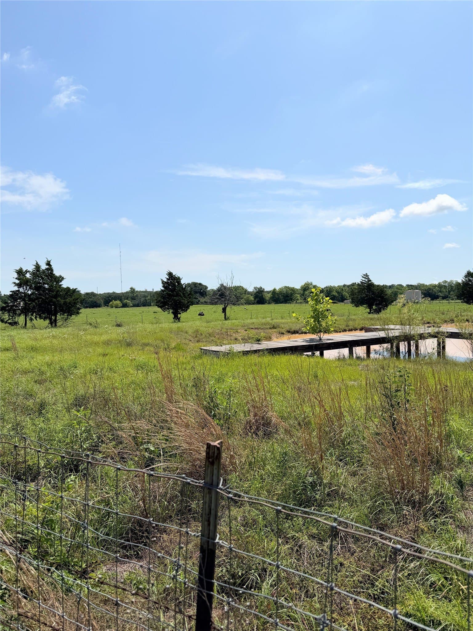 3 acres in Limestone County - photo 3