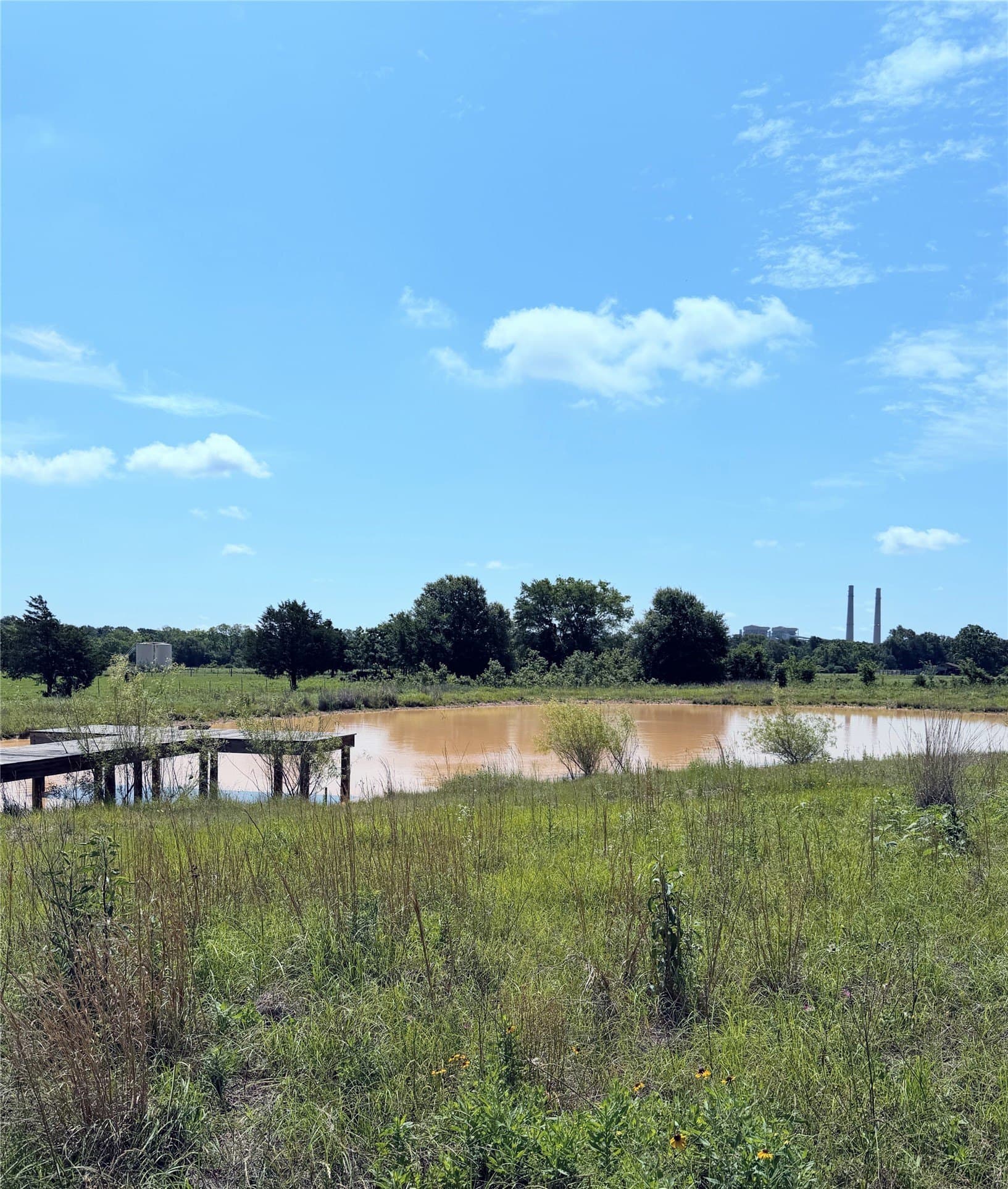 3 acres in Limestone County - photo 2