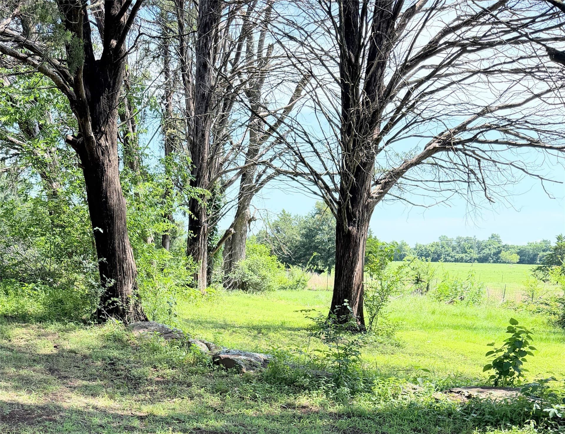 3 acres in Limestone County - photo 5