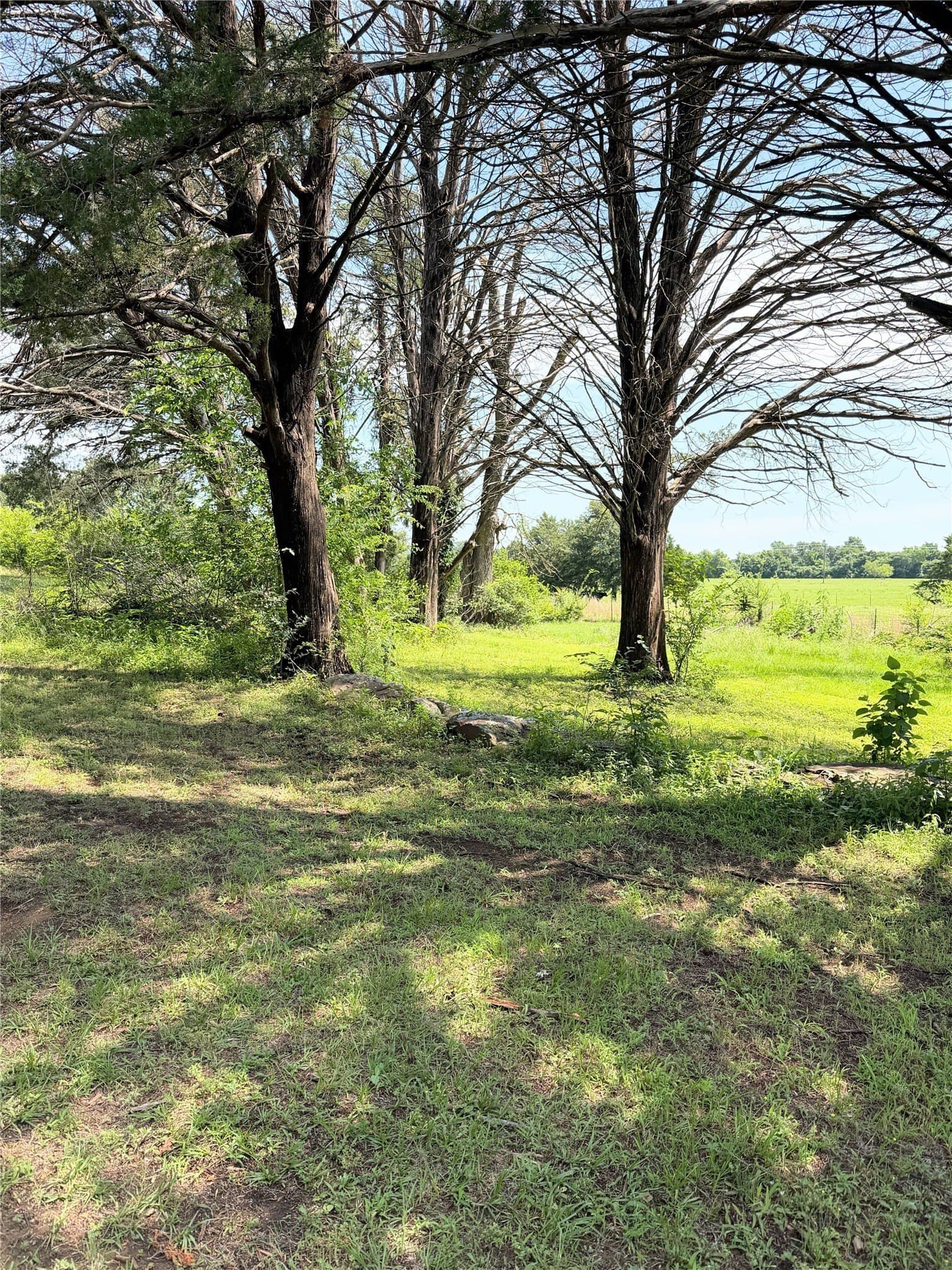 3 acres in Limestone County - photo 7