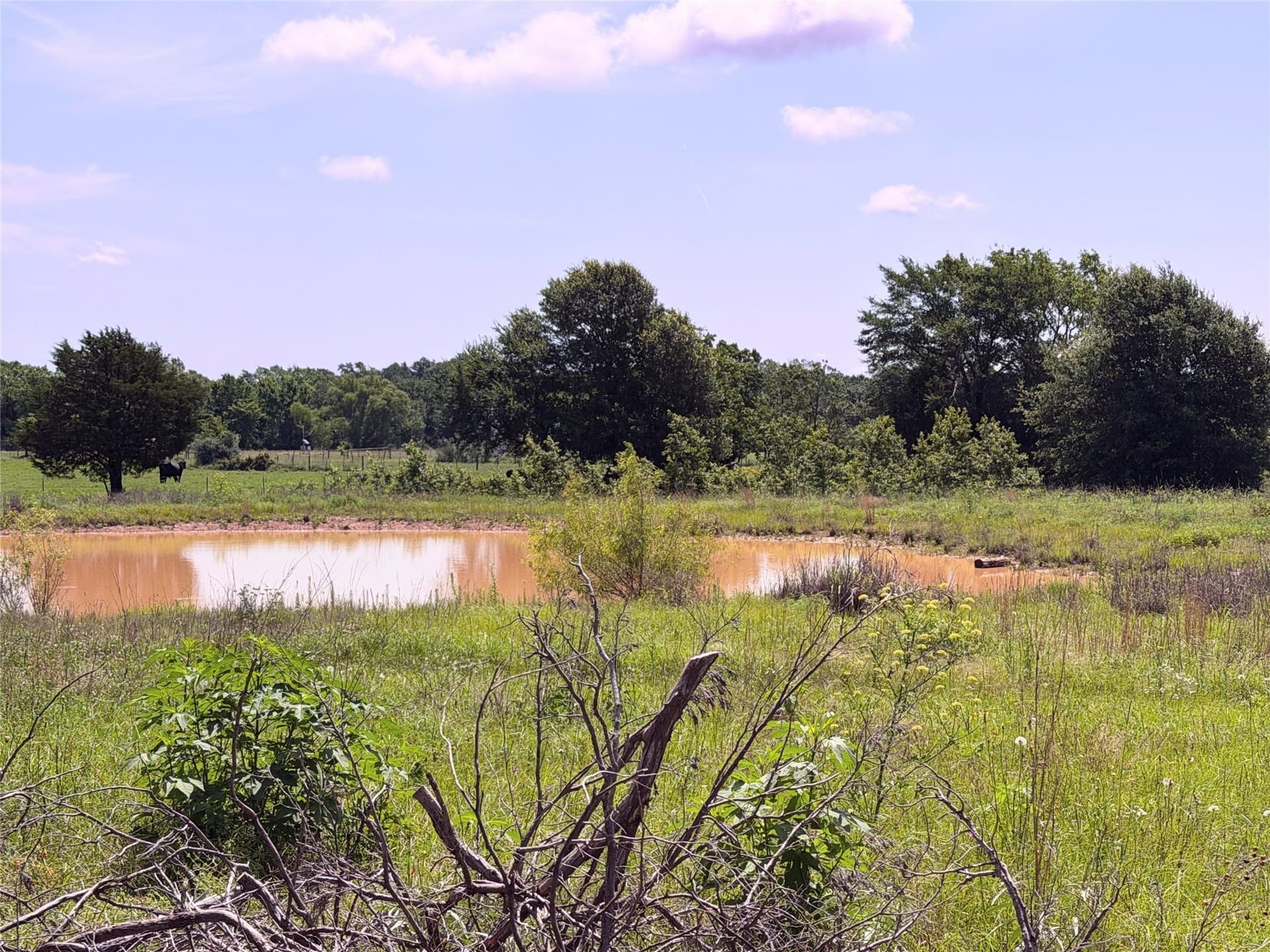 3 acres in Limestone County - photo 4