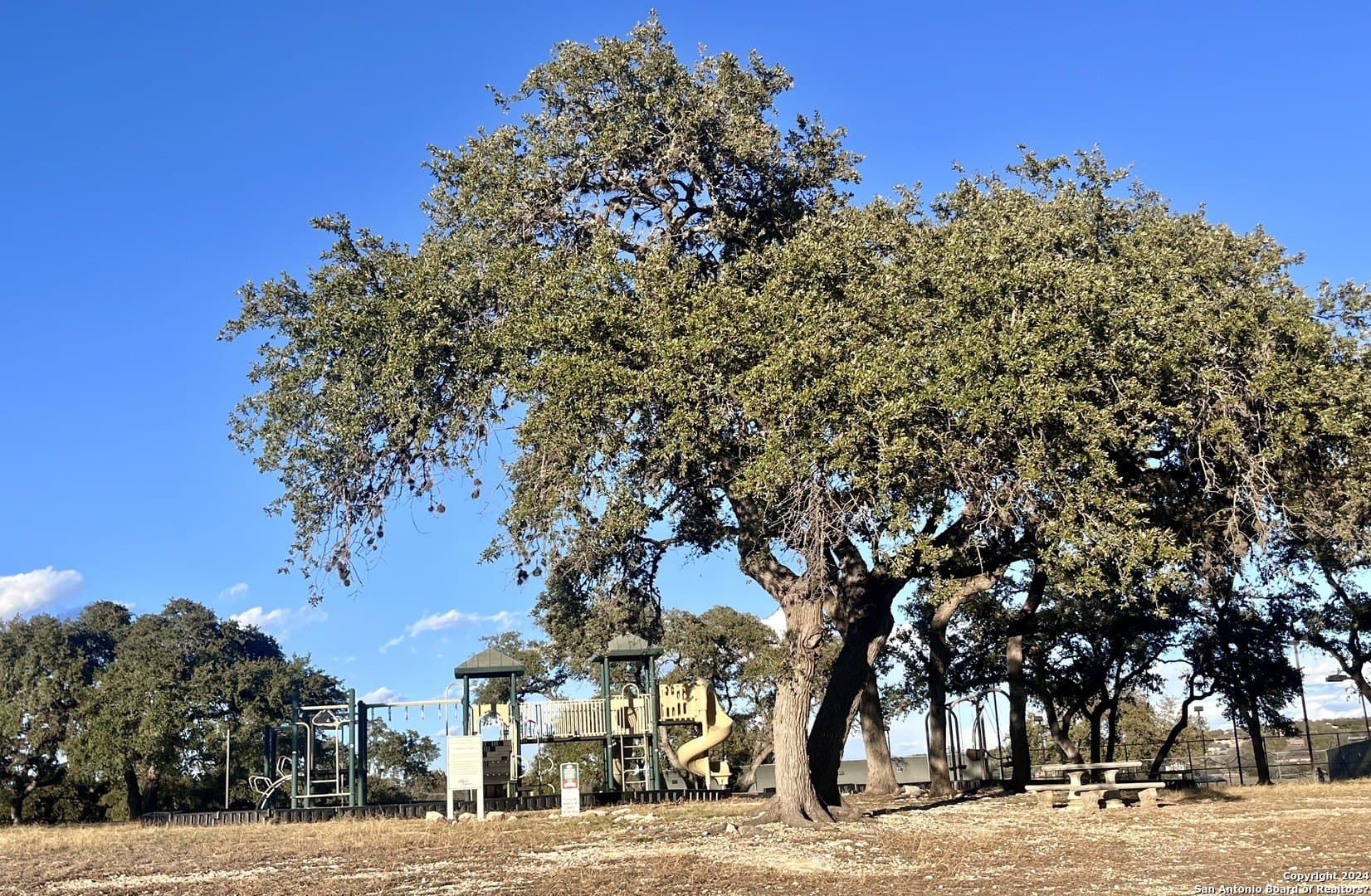 5.89 acres in Comal County - photo 11
