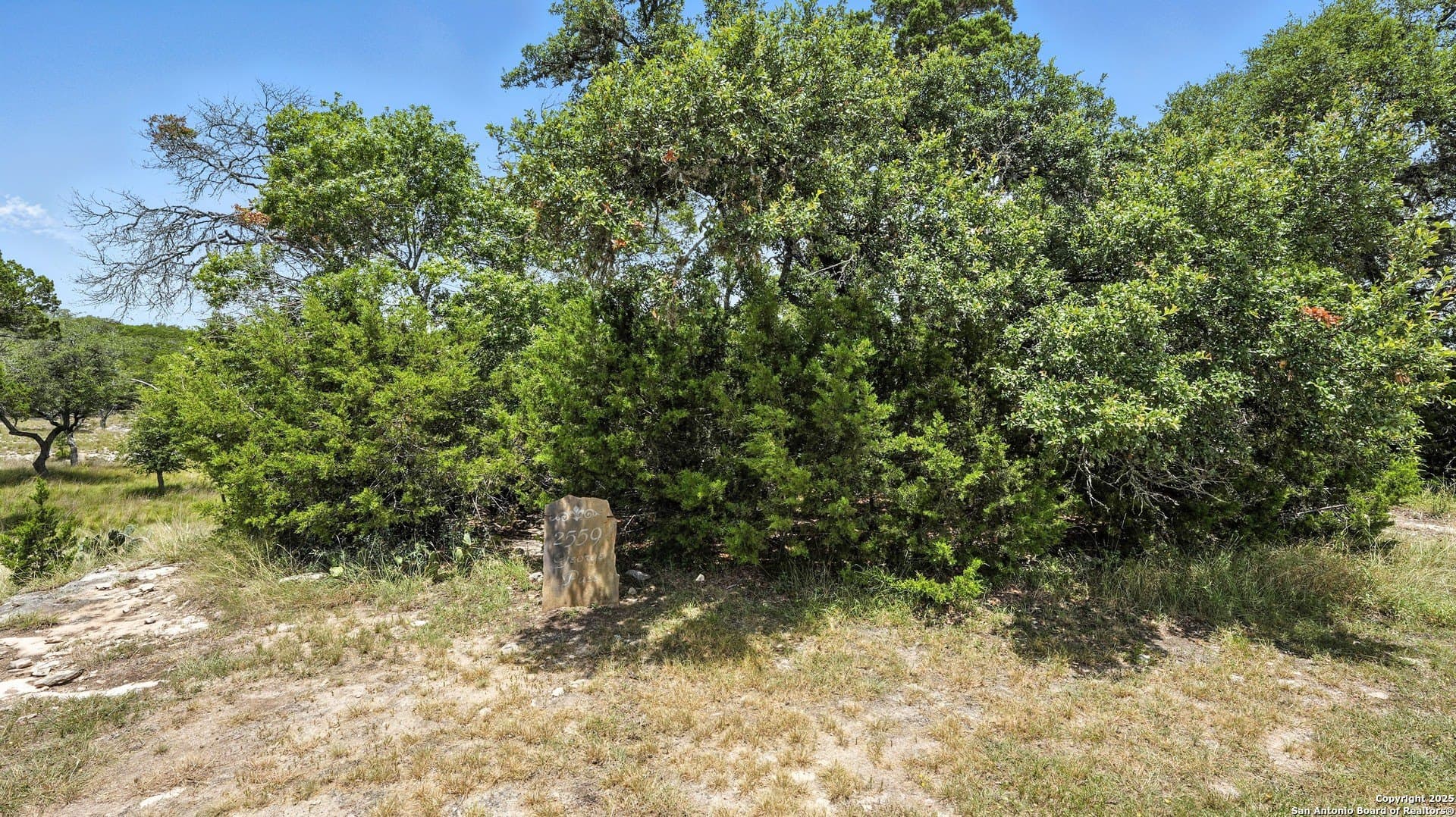 1.41 acres in Comal County gallery image 3