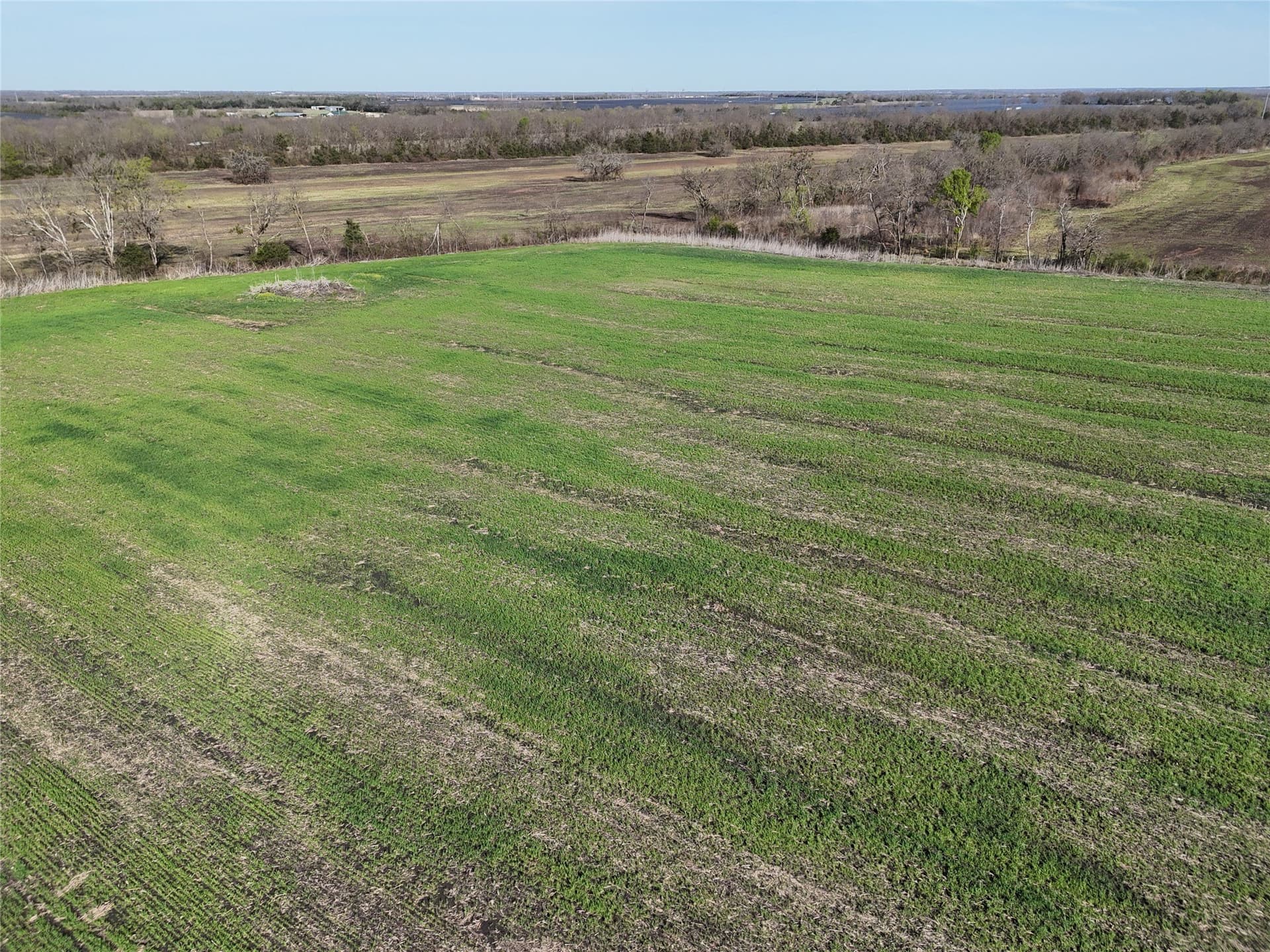 41.79 acres in Delta County - photo 8