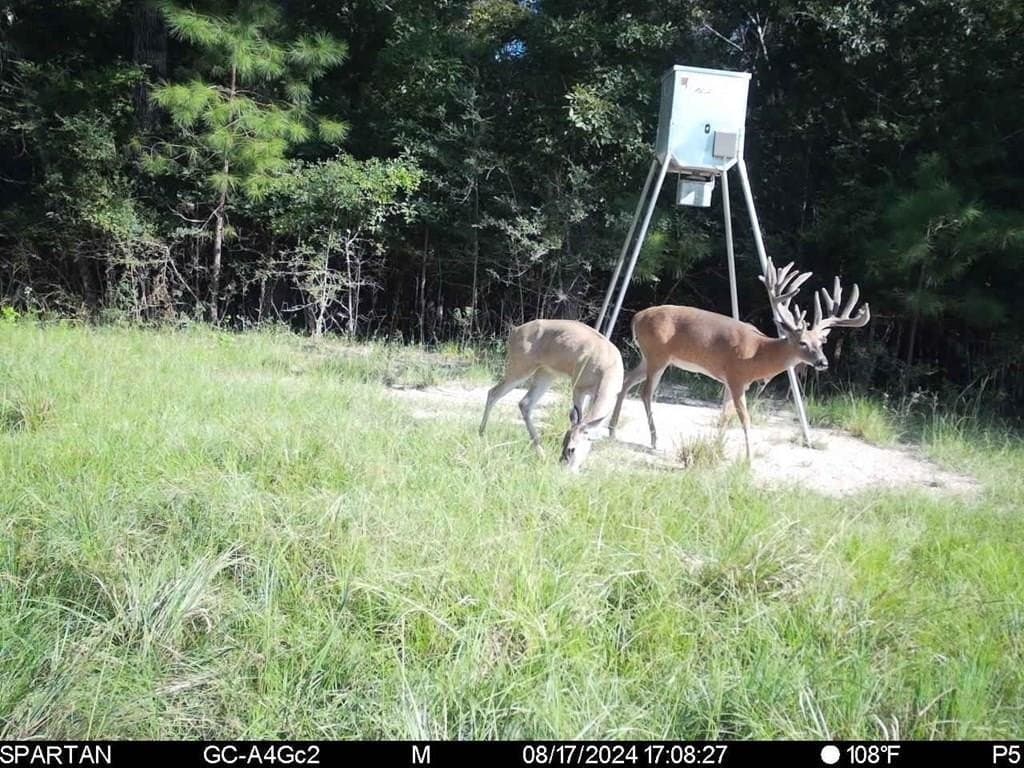 661.51 acres in Texas County gallery image 3