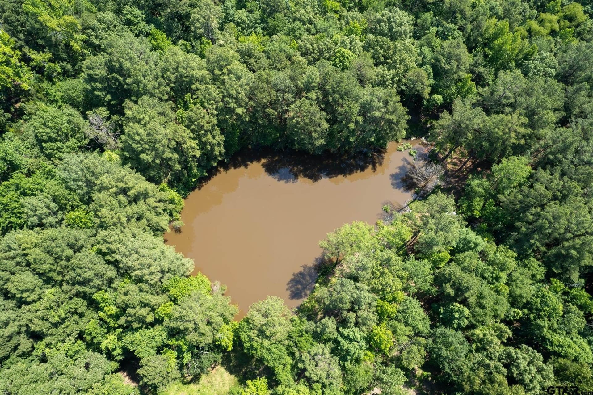 15.2 acres in Camp County - photo 16