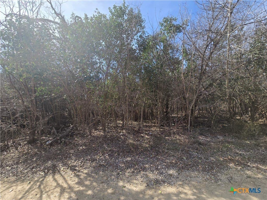 0.29 acres in Bell County - photo 2